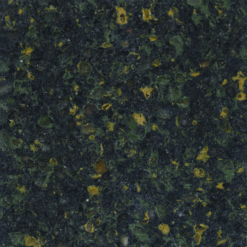 Rainforest
