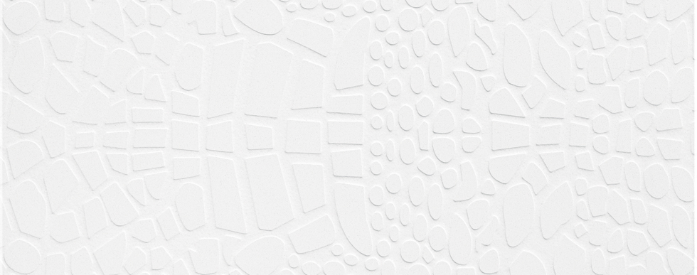 2141C Crocodile